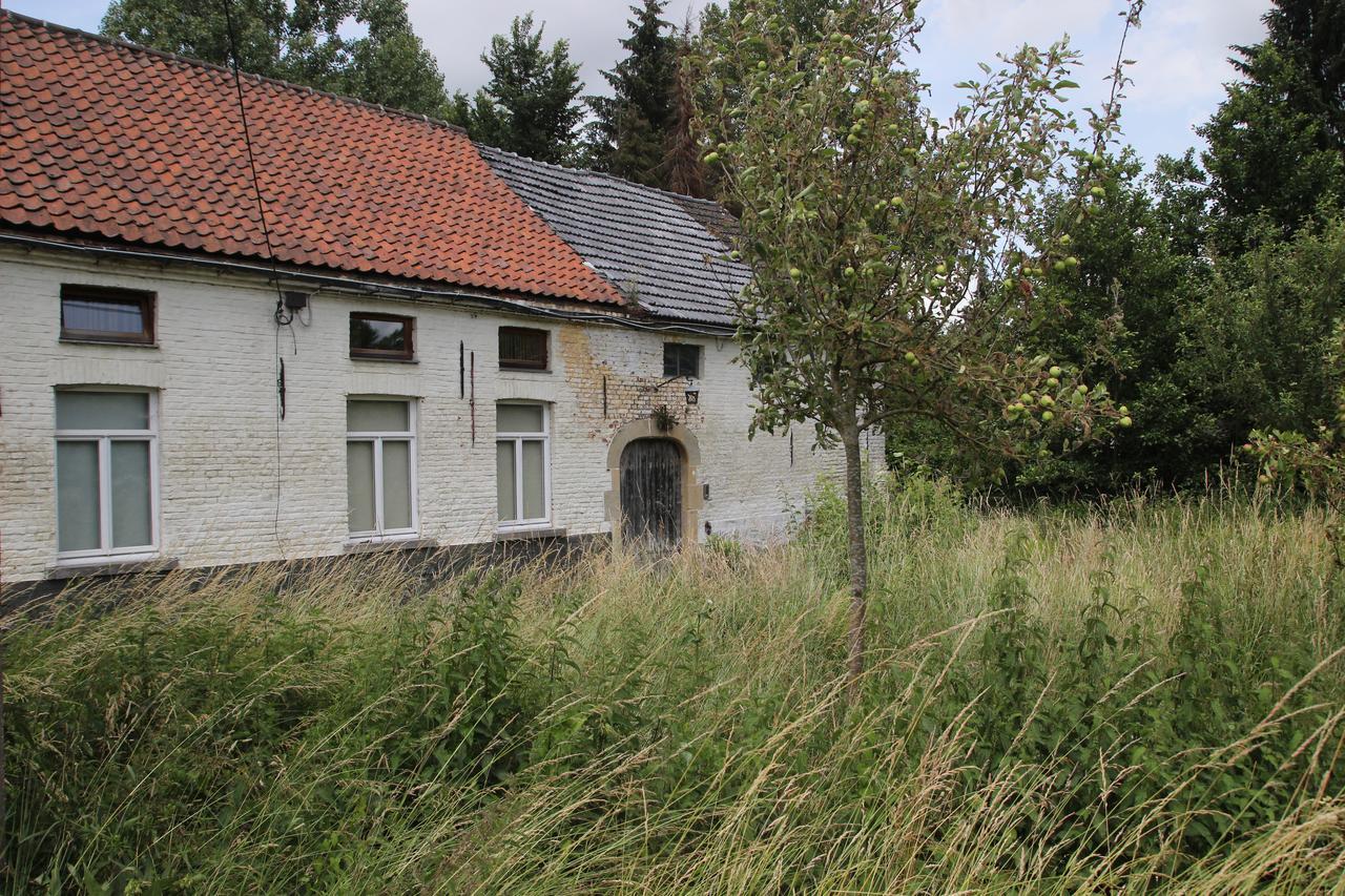 Dotter 17 Bed and Breakfast Erpe-Mere Exteriör bild